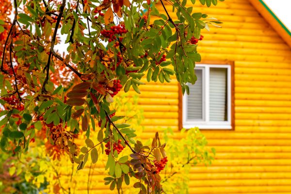 Cost of Garden Window Replacement in Lynnwood